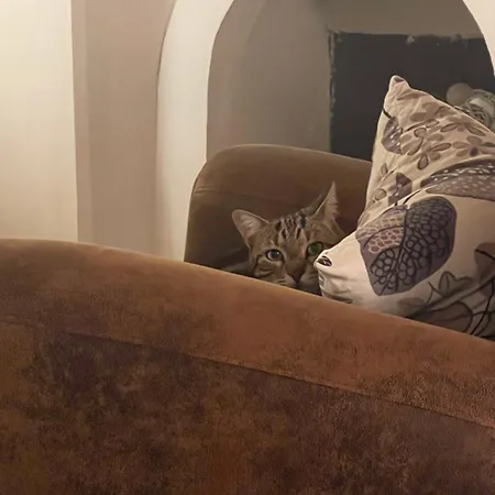 D'hotes Kyoto Et Sdb Privee Dans Bastide Du Xviie Siecle Séjour chez l'habitant La Valette-du-Var